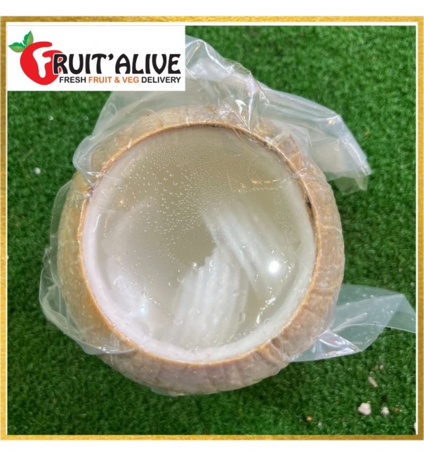 COCONUT JELLY FROM MALAYSIA (FRUIT)