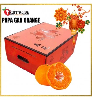 CHUN JIAN PAPA GAN 春见粑粑柑 14-18 PCS (FRUIT)