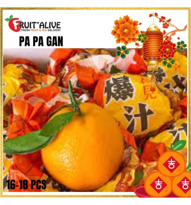 CHUN JIAN PAPA GAN 春见粑粑柑 14-18 PCS (FRUIT)