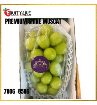 PREMIUM SHINE MUSCAT FROM KOREA 500-650G