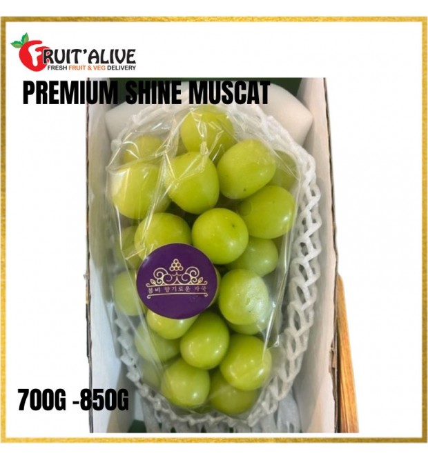 PREMIUM SHINE MUSCAT FROM KOREA 500-650G