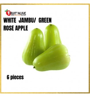 WHITE JAMBU/GREEN ROSE APPLE FROM INDONESIA 