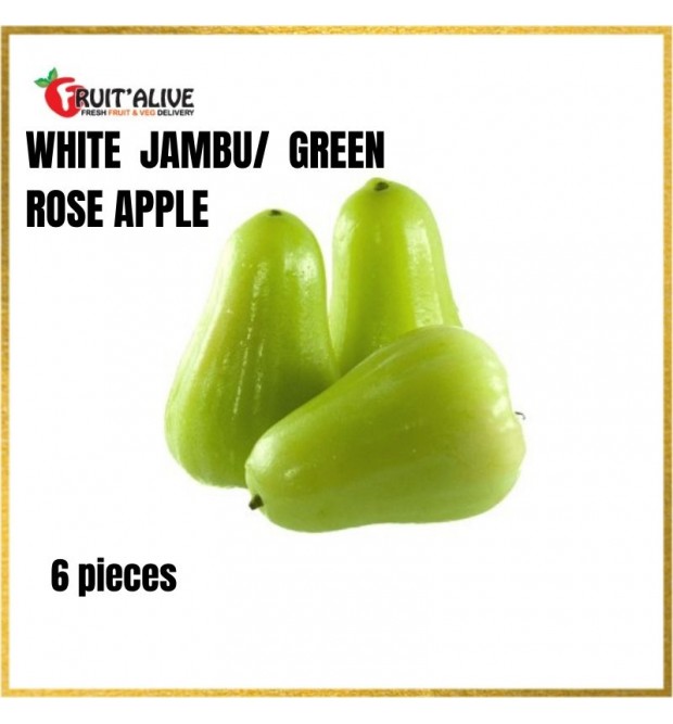 WHITE JAMBU/GREEN ROSE APPLE FROM INDONESIA 